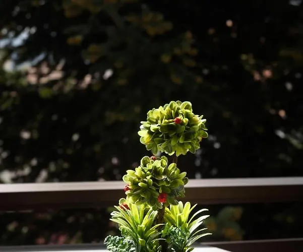 Apartament Drakontis